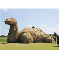 稻草雕塑 乌龟 