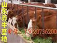 吉林哪里有养殖场 