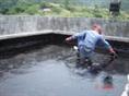 珠海建筑物防水补漏、建筑物外墙清洗工程 