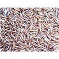 黄粉虫