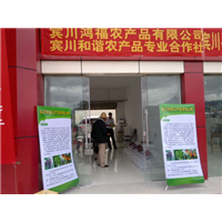 云南红提葡萄冷库基地 