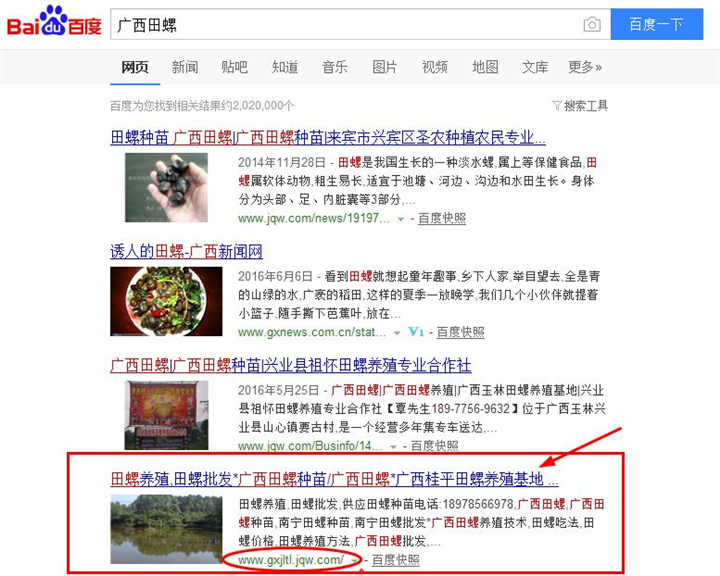 南宁网站建设SEO优化案例：桂平田螺养殖基地 