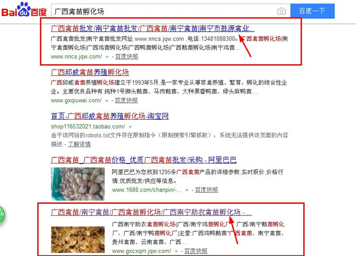 南宁网站建设SEO网站优化推广案例：胜源禽业/助农禽苗孵化场 