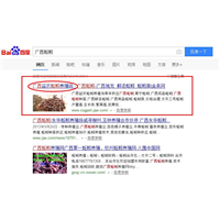 广西网站建设SEO网站优化推广案例：广西益农蚯蚓养殖场 