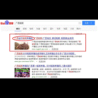 广西网站建设SEO网站优化推广案例：广西益农蚯蚓养殖场 