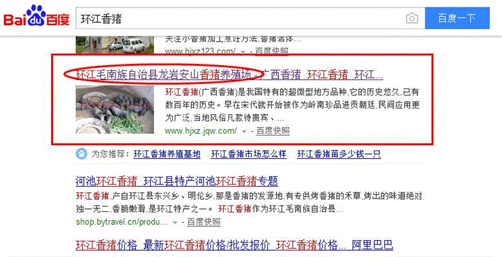 河池网站建设SEO网站优化推广案例：环江龙岩安山香猪养殖场 