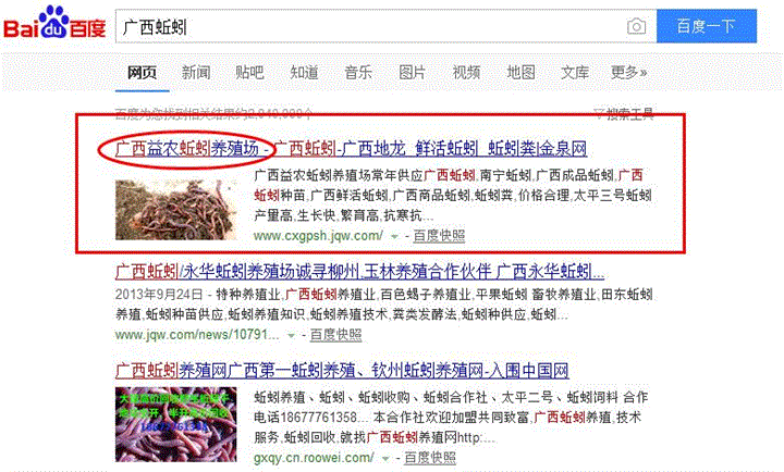 广西网站建设SEO网站优化推广案例：广西益农蚯蚓养殖场 
