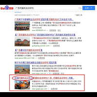 广西网站建设SEO网站优化推广案例： 百强挖掘机培训中心 
