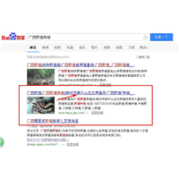 柳州网站建设SEO网站优化推广案例：柳州市狮子山生态养殖场 