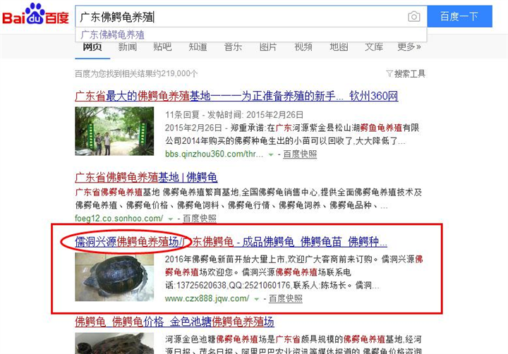 广东网站建设SEO网站优化推广案例：儒洞兴源佛鳄龟养殖场 