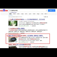 广东网站建设SEO网站优化推广案例：儒洞兴源佛鳄龟养殖场 