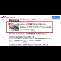 河池网站建设SEO网站优化推广案例：环江毛龙岩安山香猪养殖场 