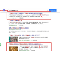 南宁网站建设SEO网站优化推广案例：胜源禽业/助农禽苗孵化场 
