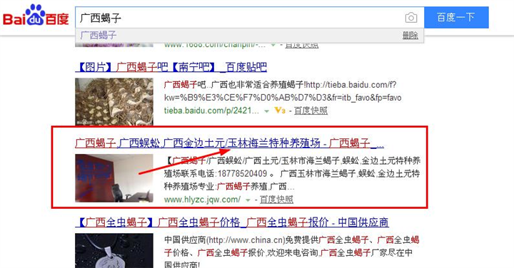 玉林网站建设SEO网站优化推广案例：玉林海兰特种养殖 