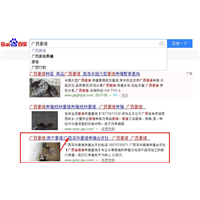 广西网站建设SEO网站优化推广案例：广西深华豪猪养殖合作社 