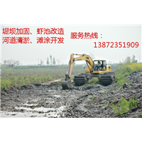 水上挖掘机出租北京水陆挖掘机租赁 