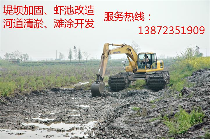水陆挖掘机水上 挖掘机安徽水陆挖掘机出租 