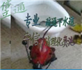 漳州疏通|漳州郊区市区快速疏通上门服务 