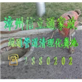 漳州清理化粪池|漳州市区郊区清理化粪池 