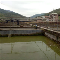 福建泥鳅苗供应