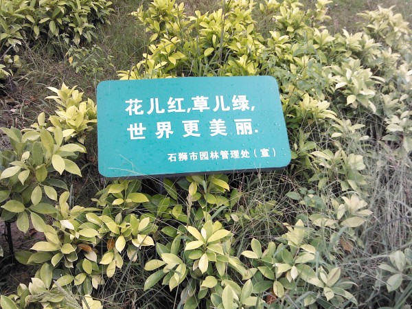 石狮标识标牌/西洋公园标识标牌04