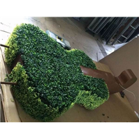 石狮LED提琴