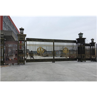 DM-37@巴中铁艺大门,巴巴中别墅铁艺大门