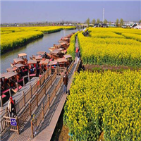千垛油菜花风景区农家乐