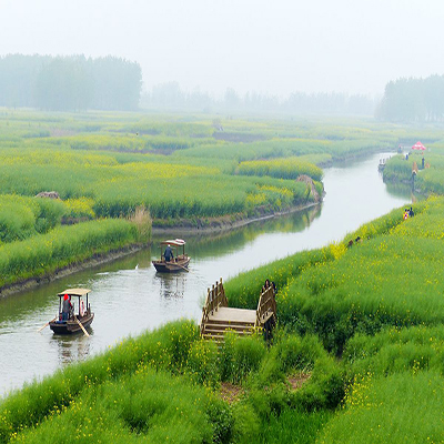 千垛菜花风景区农家乐