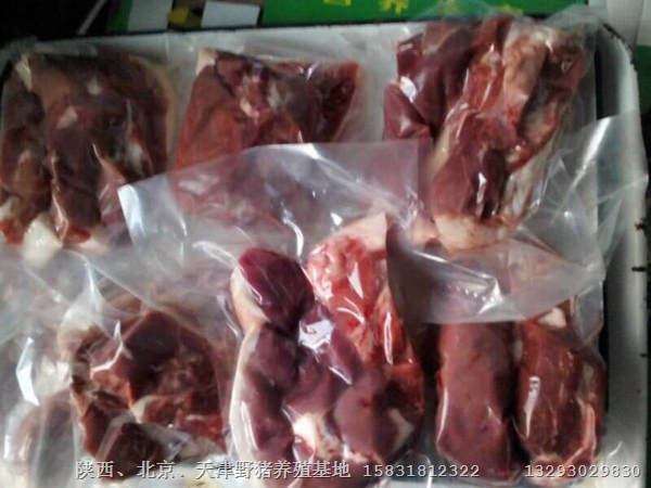 邯郸特种野猪肉热销 野猪肉专卖店 