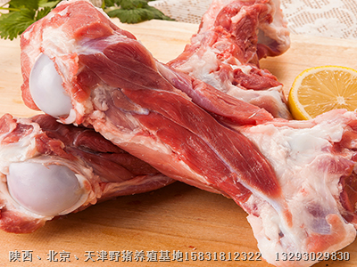 纯种野猪|吉林大批量销售野猪及野猪肉 