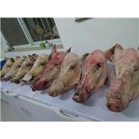 昌平野猪肉|大兴特种野猪|野猪养殖基地 