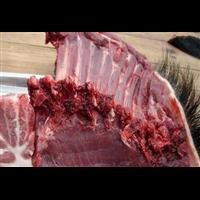 河北野猪肉 邯郸石家庄野猪养殖基地 