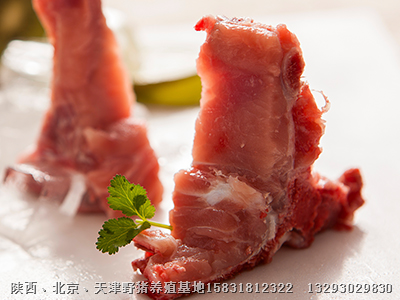 北京野猪苗价格|北京特种野猪肉价格 