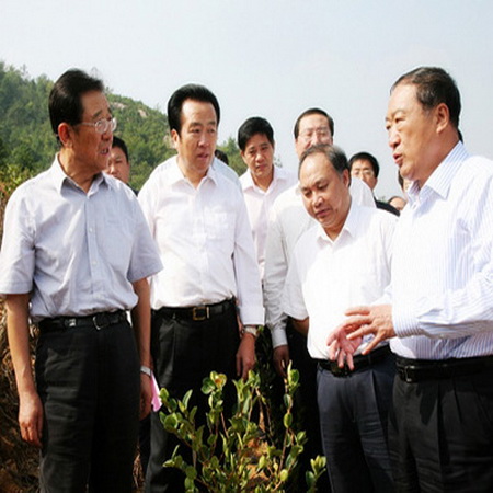江西高产油茶苗基地-**视察 