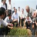 江西高产油茶苗基地-贾厅长在我基地视察 