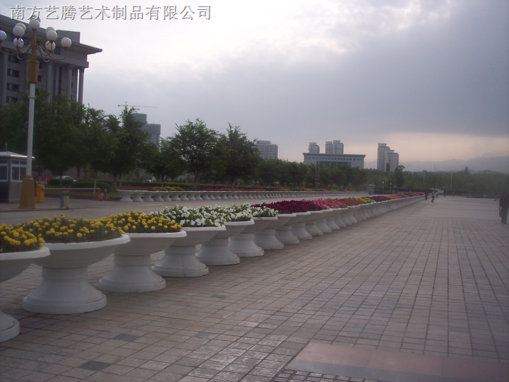花盆4 
