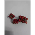 南天竹种子 