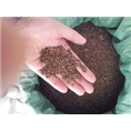 紫薇种子 