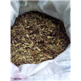 红枫种子 