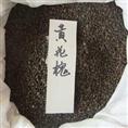 九江花卉种子@#九江苗木种子 
