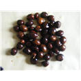 枇杷种子 