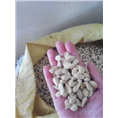 香泡种子 