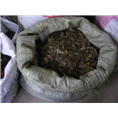 黄花梨种子 