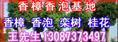 “振兴湖南香樟树供应市场”“创建四川贵州重庆绿化” 