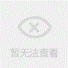 18公分开心鸡婆香樟树发往孝感孝昌 