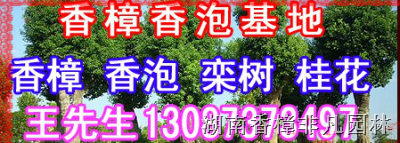 “振兴湖南香樟树供应市场”“创建四川贵州重庆绿化” 