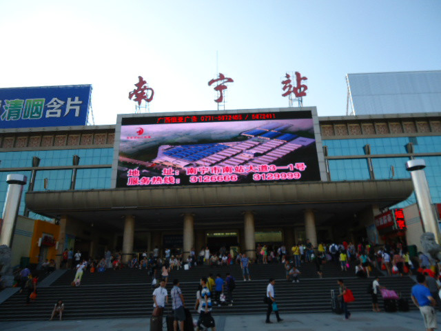 香樟树销贵州湄潭扶绥南郑四川图片价格 