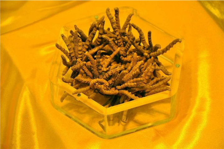 杭州回收冬虫夏草