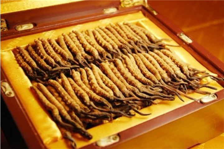 杭州回收冬虫夏草